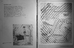 294.jpg?ver=20