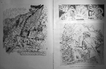 295.jpg?ver=20