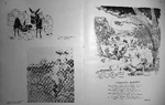 310.jpg?ver=20