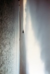 428.jpg?ver=20