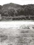 468.jpg?ver=20